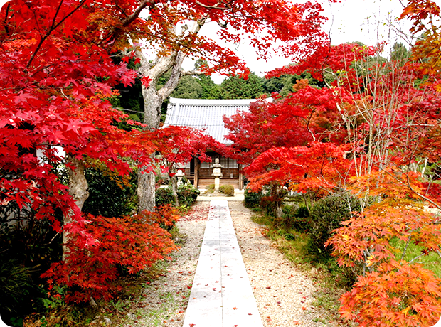 大御堂観音寺