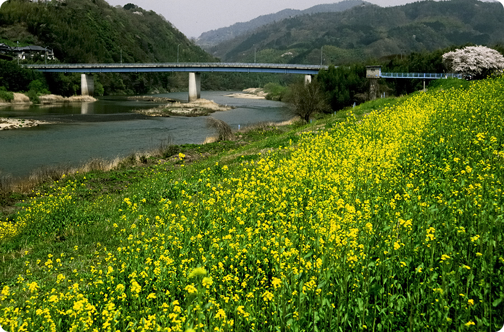 木津川市