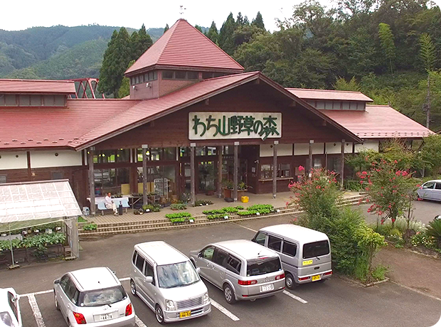 わち山野草の森