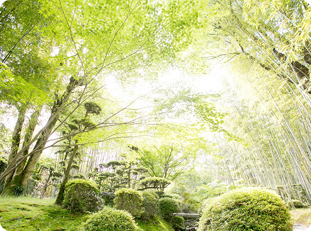 松花堂庭園・美術館